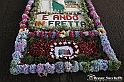 VBS_9724 - Infiorata di Villanova d'Asti 2023